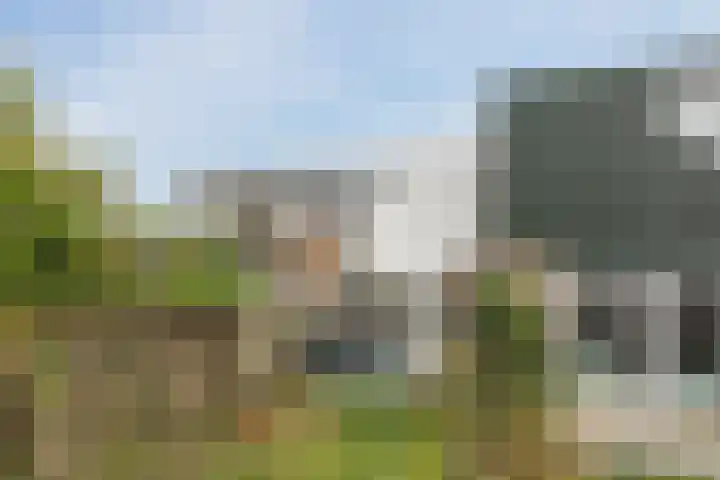 Gorzenhoek 21 Oud-Beijerland thumbnail 29