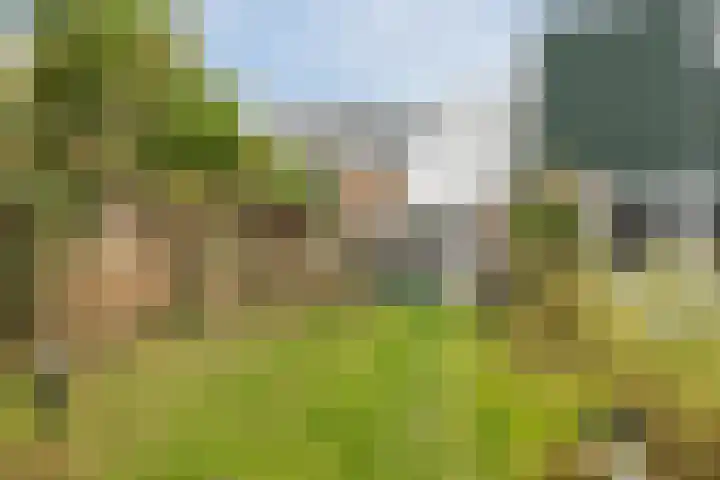 Gorzenhoek 21 Oud-Beijerland thumbnail 30