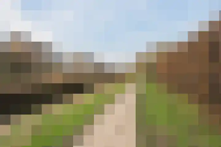 Gorzenhoek 21 Oud-Beijerland thumbnail 32