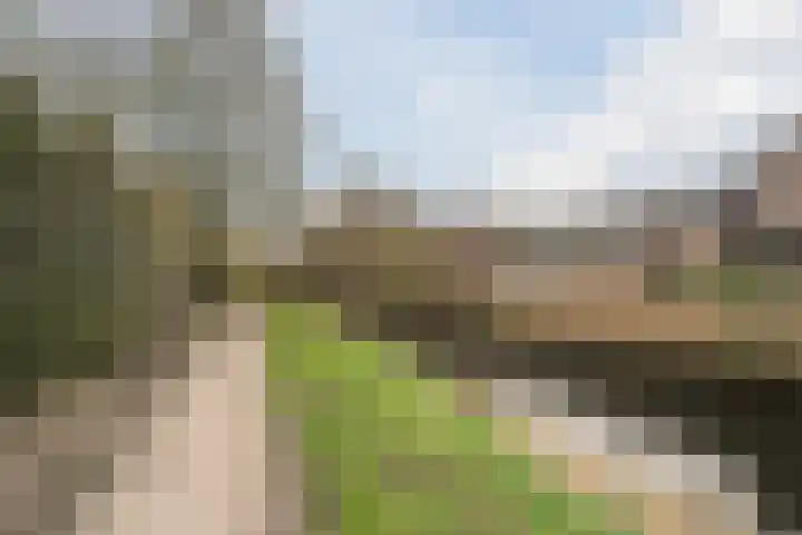 Gorzenhoek 21 Oud-Beijerland thumbnail 33