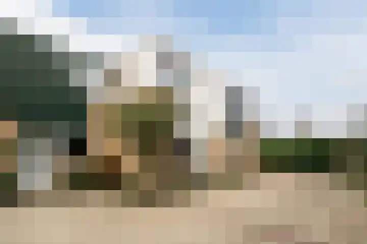 Gorzenhoek 21 Oud-Beijerland thumbnail 7
