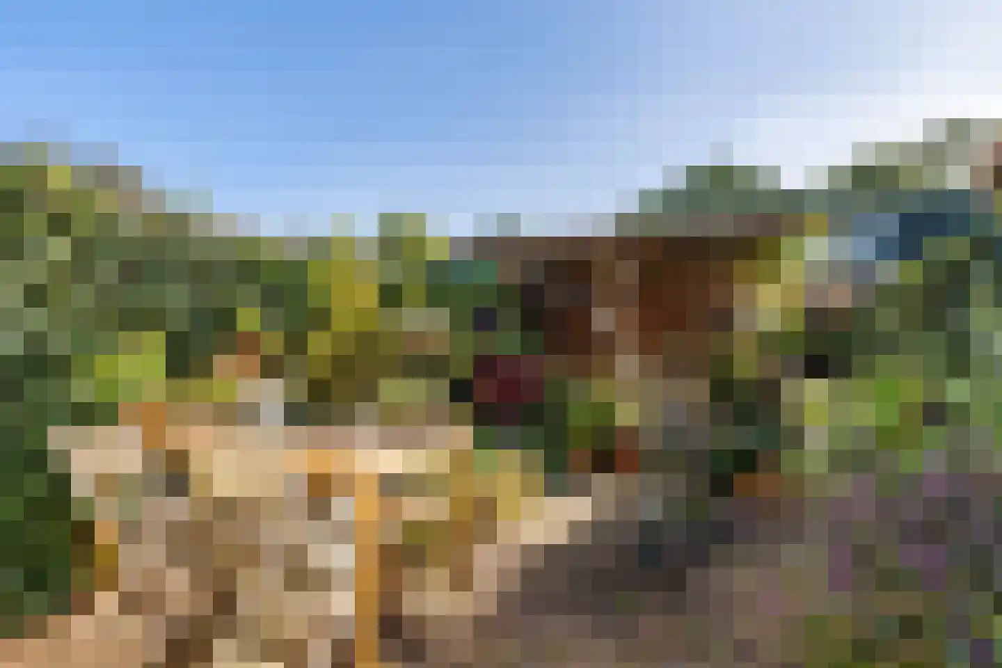 Gorzenhoek 3 Oud-Beijerland thumbnail 26