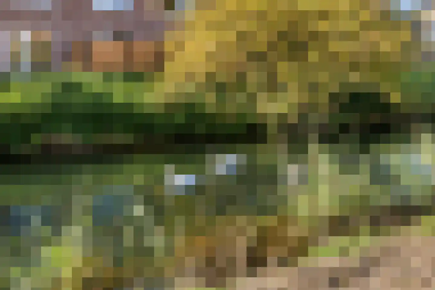 Gorzenhoek 3 Oud-Beijerland thumbnail 32