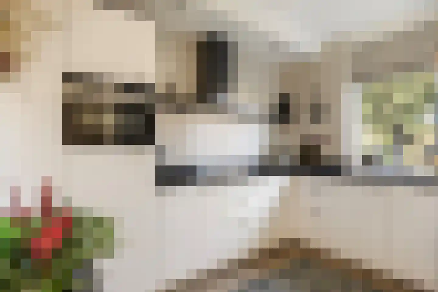 Gorzenhoek 3 Oud-Beijerland thumbnail 4