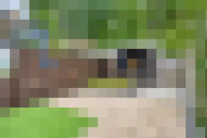 Gorzenhoek 35 Oud-Beijerland thumbnail 5