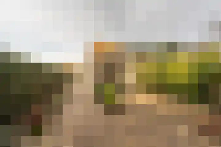 Gorzenhoek 39 Oud-Beijerland thumbnail 21