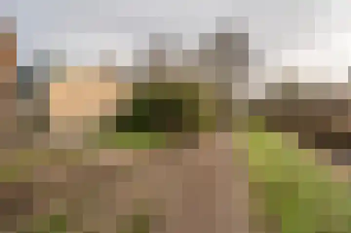 Gorzenhoek 39 Oud-Beijerland thumbnail 25