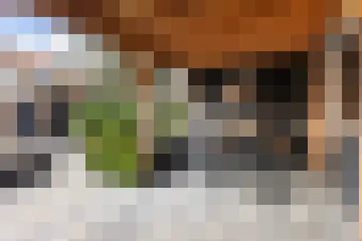 Gorzenhof 4 Capelle aan den IJssel thumbnail 13