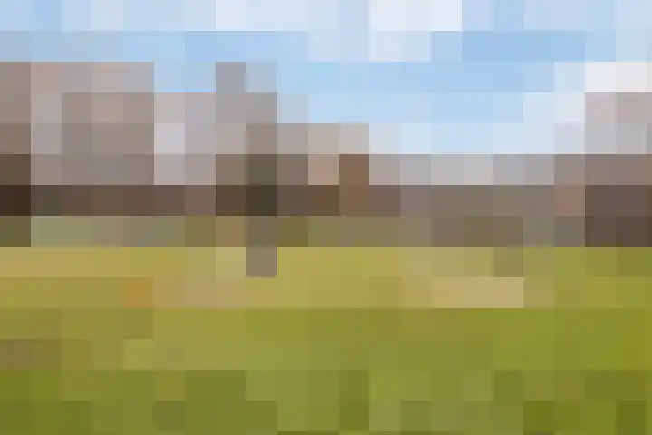 Gorzenhof 4 Capelle aan den IJssel thumbnail 39