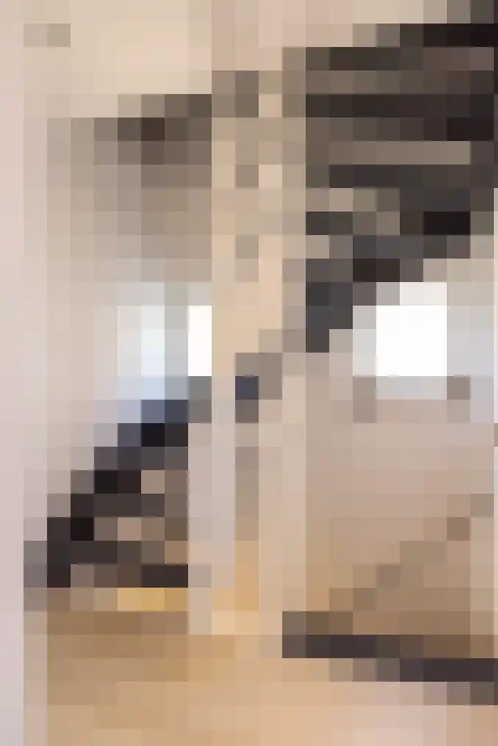 Goselingstraat 10 Urmond thumbnail 25
