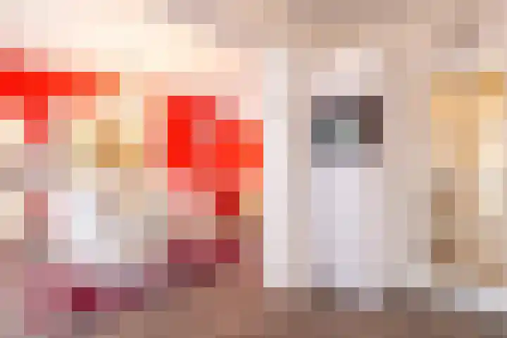 Goselingstraat 10 Urmond thumbnail 7