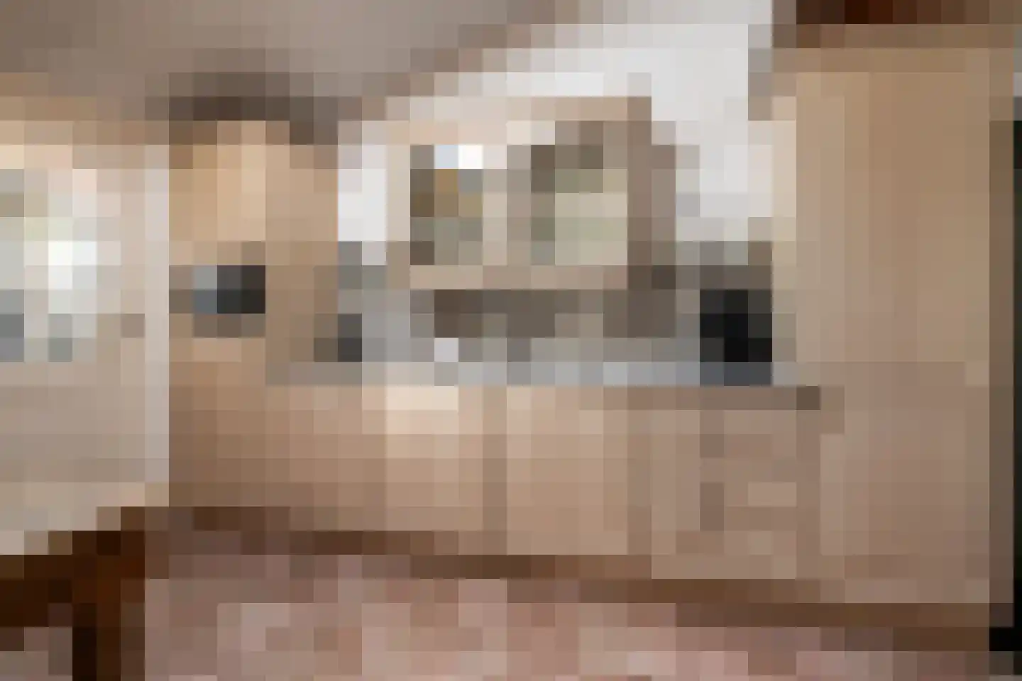 Goselingstraat 2 Oss thumbnail 11