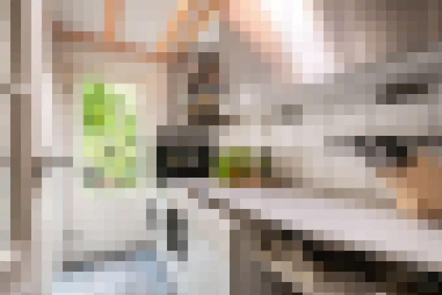 Goselingstraat 2 Oss thumbnail 13