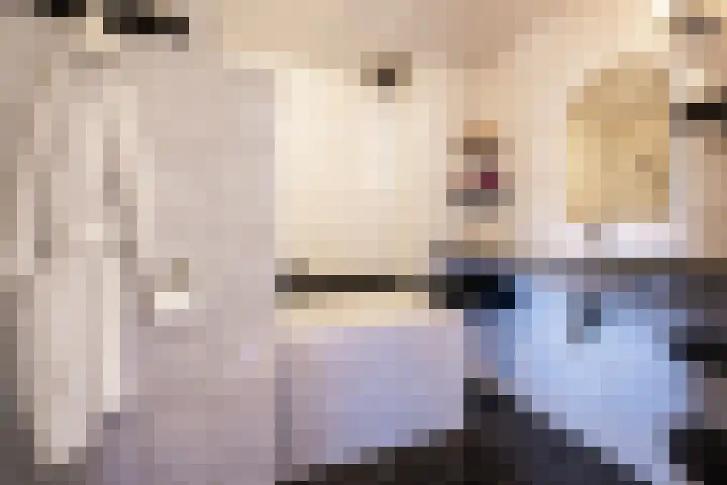 Goselingstraat 2 Oss thumbnail 20
