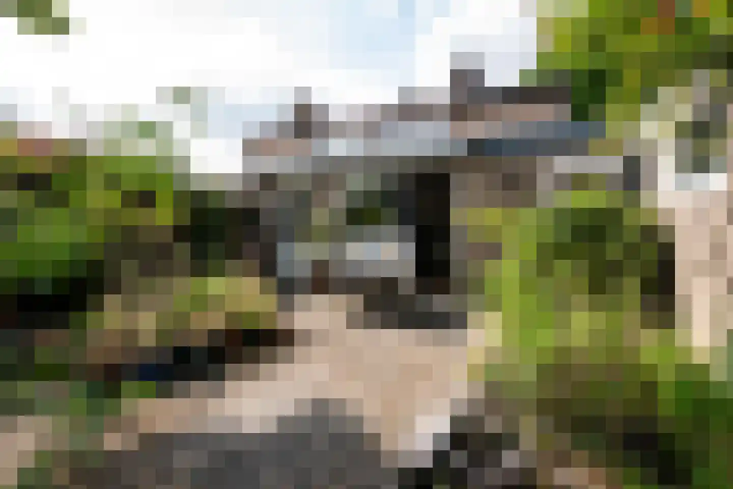 Goselingstraat 2 Oss thumbnail 22