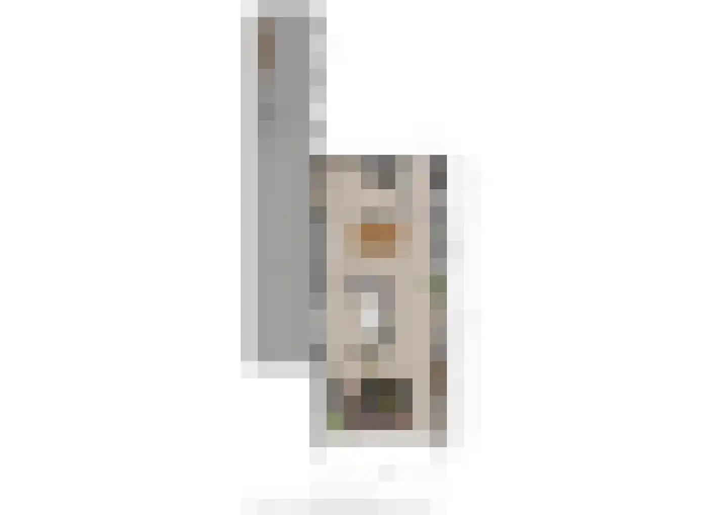 Goselingstraat 2 Oss thumbnail 29