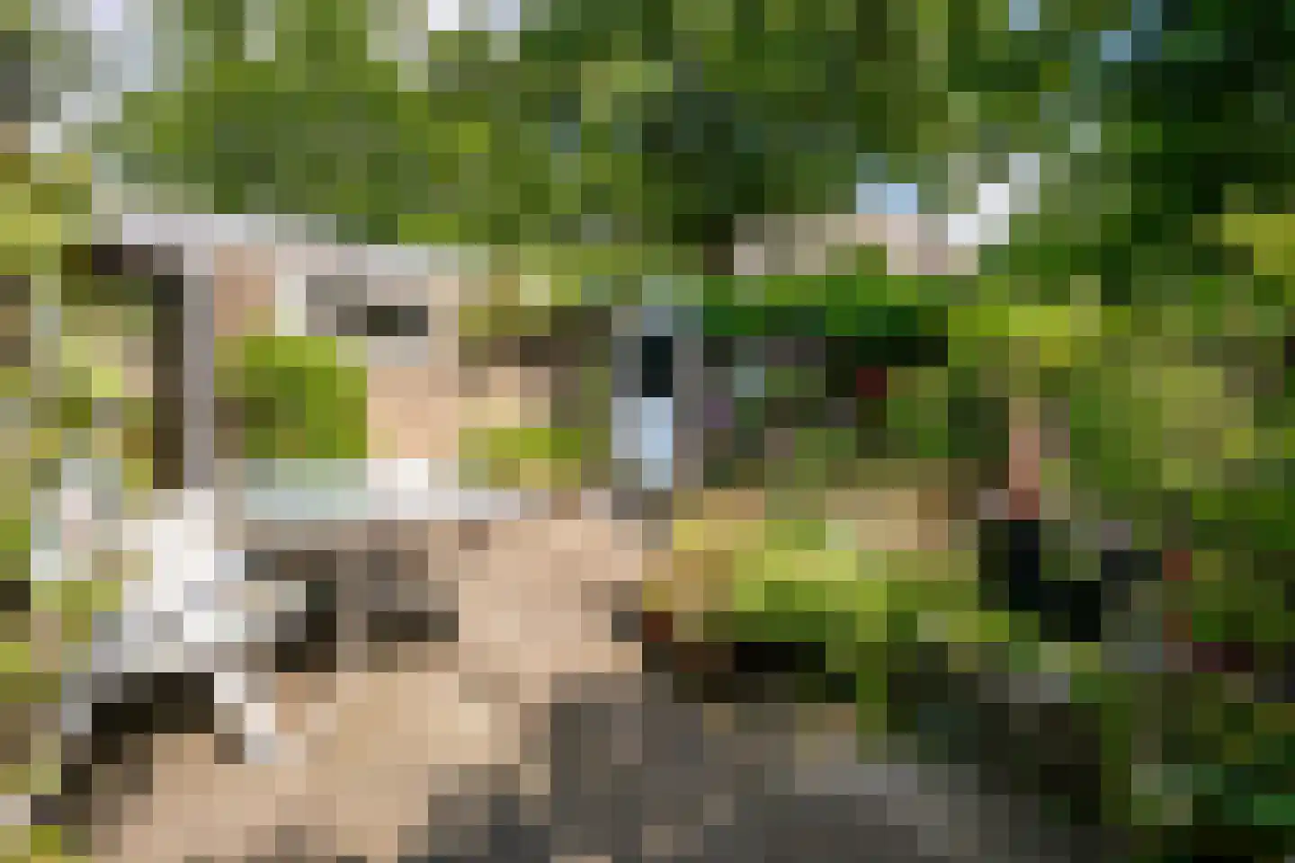 Goselingstraat 2 Oss thumbnail 4