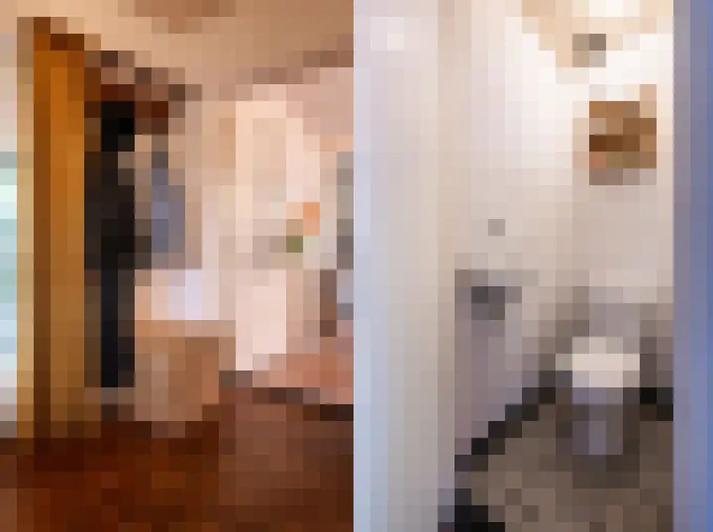 Goselingstraat 2 Oss thumbnail 6