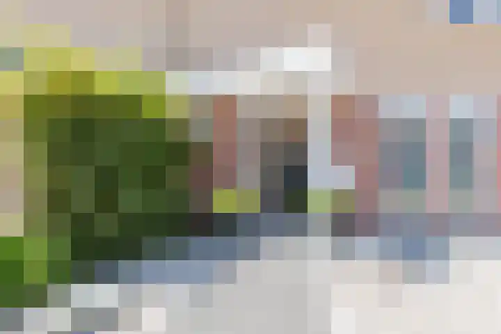 Goselingstraat 3 Urmond thumbnail 4