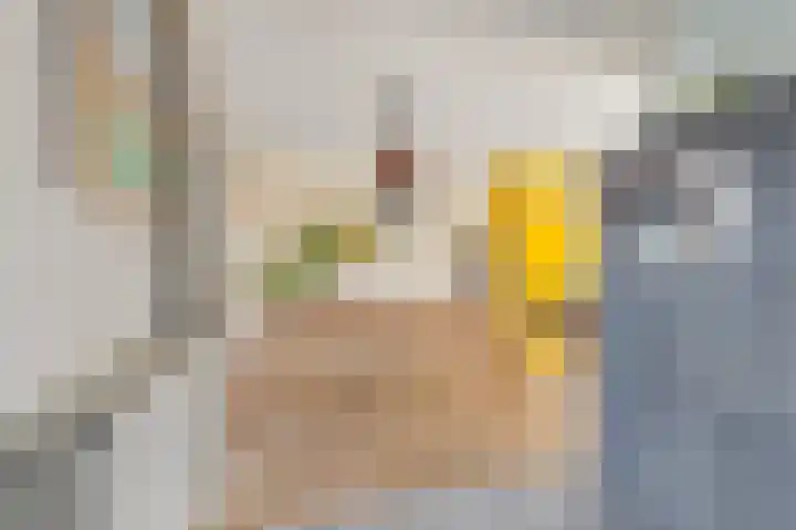 Goselingstraat 31 Nijmegen thumbnail 17