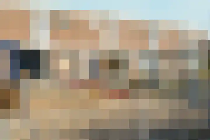 Goselingstraat 31 Nijmegen thumbnail 34