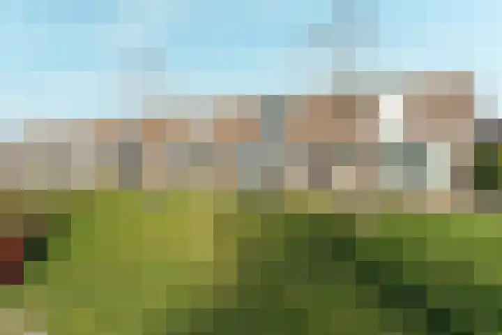 Goselingstraat 31 Nijmegen thumbnail 37