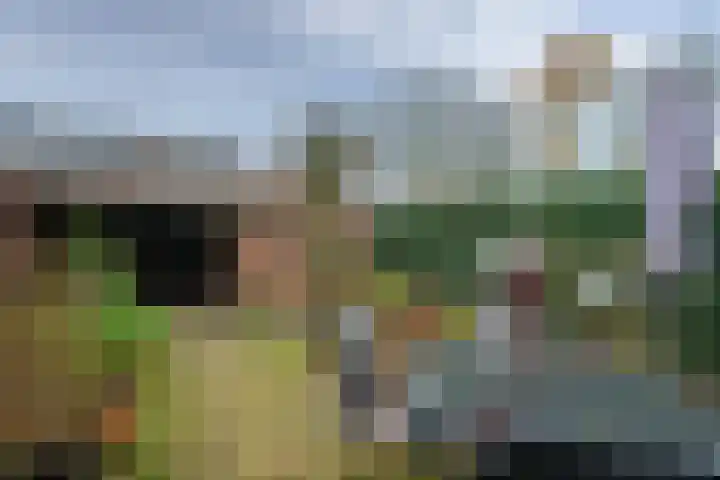 Goselingstraat 42 Tegelen thumbnail 18