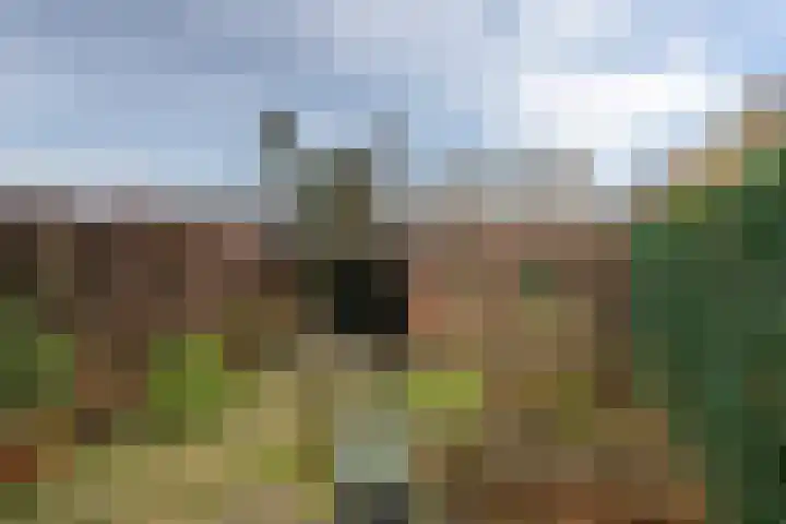 Goselingstraat 42 Tegelen thumbnail 22