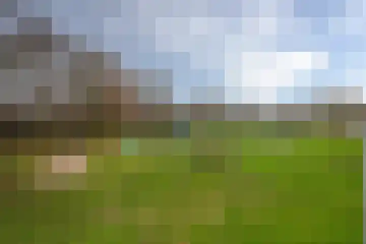 Goselingstraat 42 Tegelen thumbnail 25