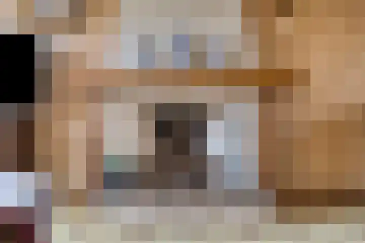 Goselingstraat 7 Oss thumbnail 12