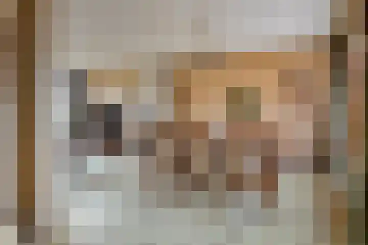 Goselingstraat 7 Oss thumbnail 16