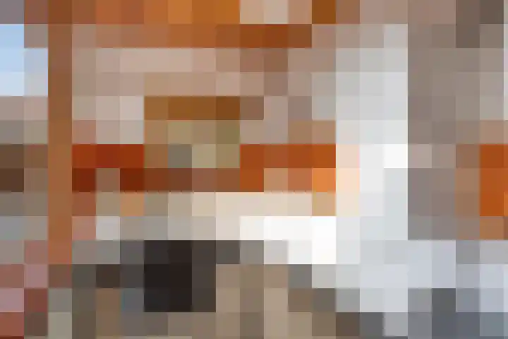 Goselingstraat 7 Oss thumbnail 17