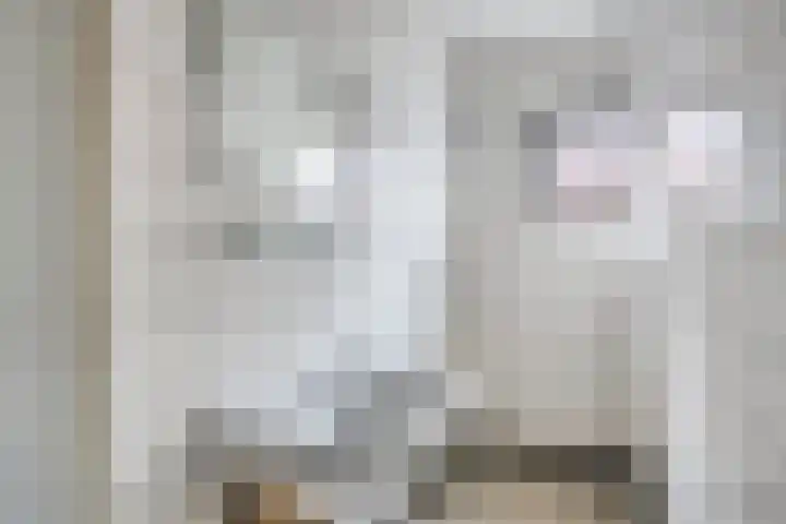 Goselingstraat 7 Oss thumbnail 22