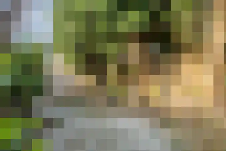 Goselingstraat 7 Oss thumbnail 32