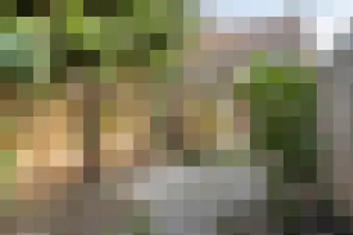 Goselingstraat 7 Oss thumbnail 33