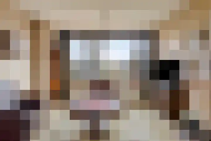 Goselingstraat 7 Oss thumbnail 9
