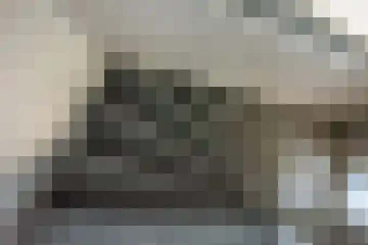 Gosenhof 4 Dinxperlo thumbnail 19
