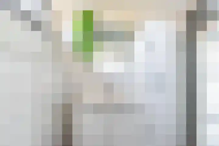 Gosenhof 4 Dinxperlo thumbnail 26