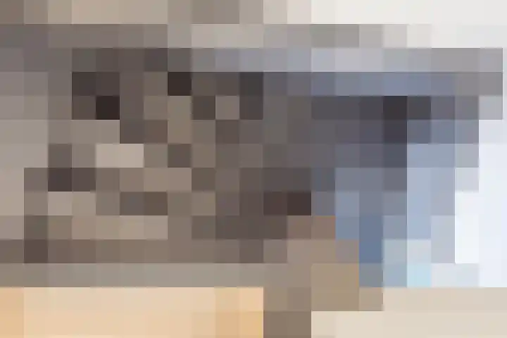 Gosenhof 4 Dinxperlo thumbnail 28