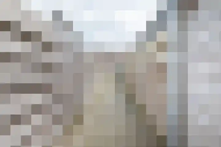 Gosenhof 4 Dinxperlo thumbnail 36