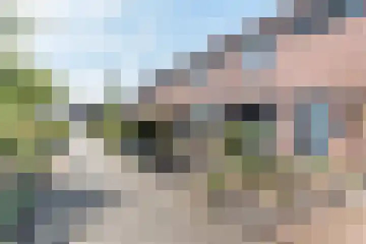 Gosenhof 4 Dinxperlo thumbnail 37