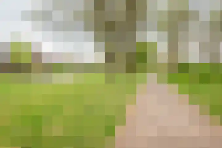 Gosenhof 4 Dinxperlo thumbnail 40