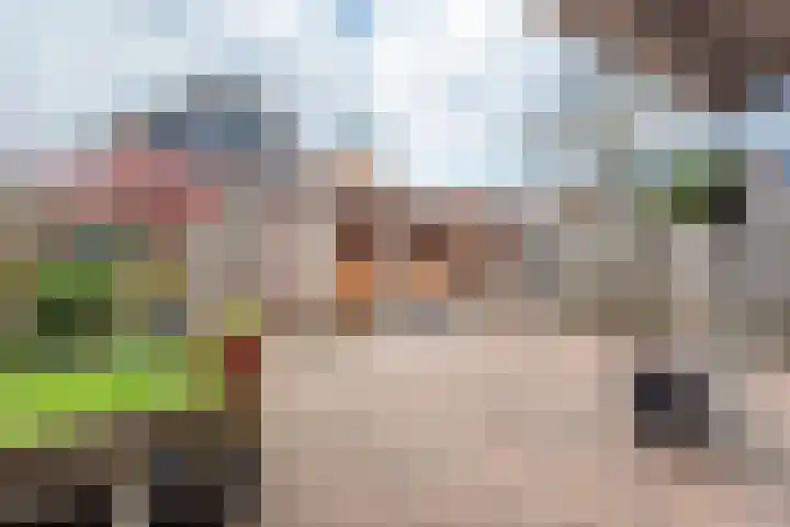 Gosenhof 4 Dinxperlo thumbnail 5