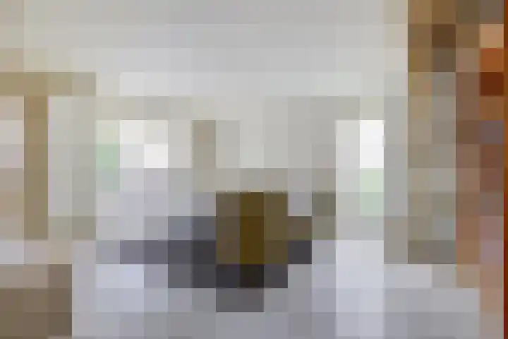 Gosewijnhof 2 Venray thumbnail 10