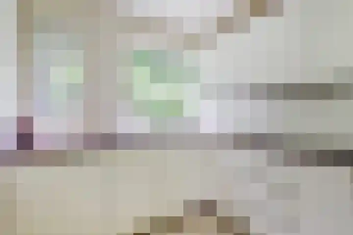 Gosewijnhof 2 Venray thumbnail 13