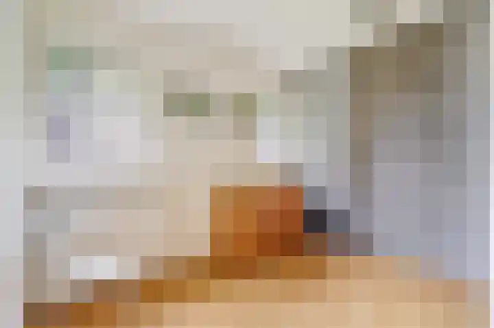 Gosewijnhof 2 Venray thumbnail 19