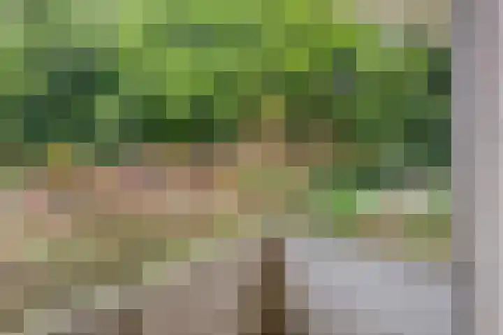 Gosewijnhof 2 Venray thumbnail 22