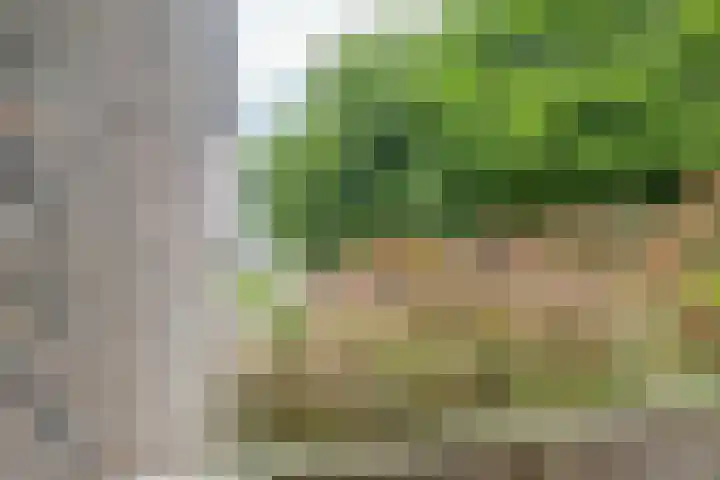 Gosewijnhof 2 Venray thumbnail 23