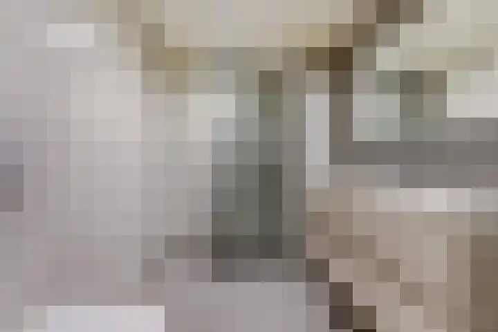 Gosewijnhof 2 Venray thumbnail 24
