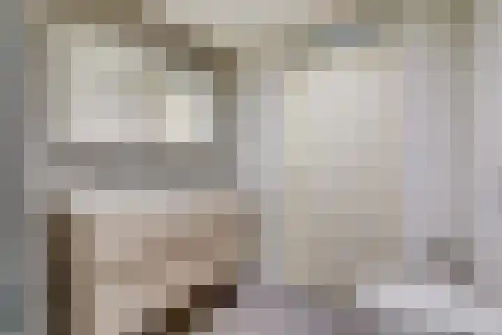 Gosewijnhof 2 Venray thumbnail 25